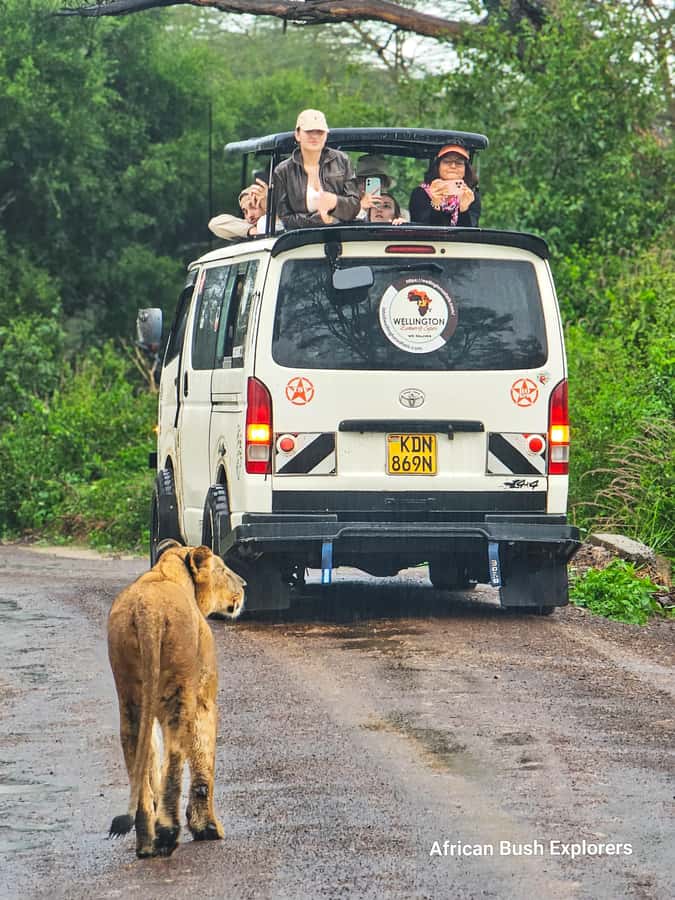 5-Hour Nairobi National Park 4x4 Safari with Free Pickup - Morning, afternoon, or evening: choosing your slot