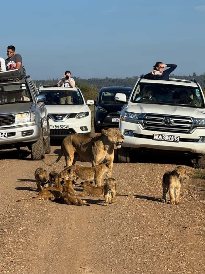 5-Hour Nairobi National Park 4x4 Safari with Free Pickup - What the open-roof 4x4 changes