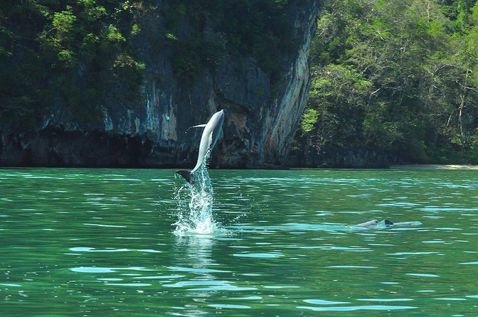 5 Hours Sharing Basis Kilim Mangrove Safari Boat Tour in Langkawi - Pickup, timing, and what the five hours really means