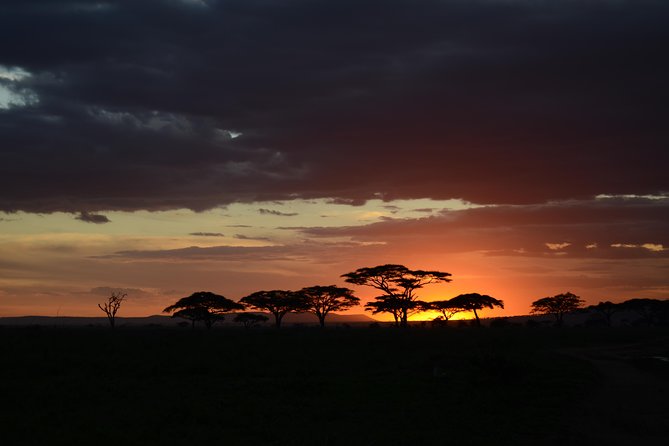 5days Tanzania Safari lodge and camping Serengeti, Tarangire & Ngorongoro Crater - What makes this safari worth a look