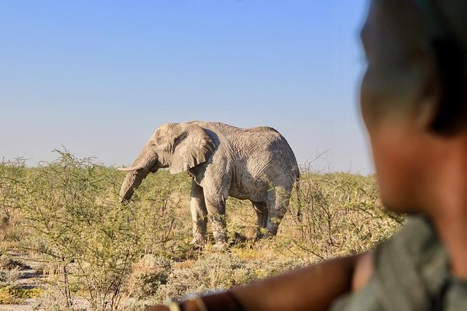 6-Day Dunes and Wildlife Accommodated Safari from Windhoek - How hard is the six-day schedule?