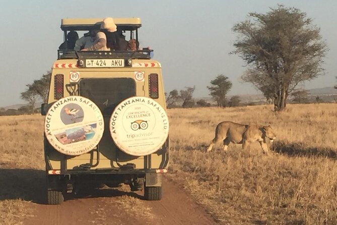 6 Day Group Camping Safari Tarangire Serengeti Ngorongoro Manyara - Day 1: Tarangire brings elephants and a quieter start