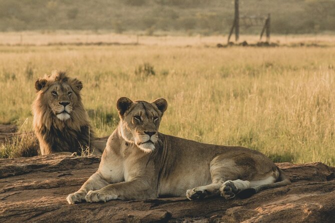 6 Day Group Camping Safari Tarangire Serengeti Ngorongoro Manyara - What the $1,370 price really covers