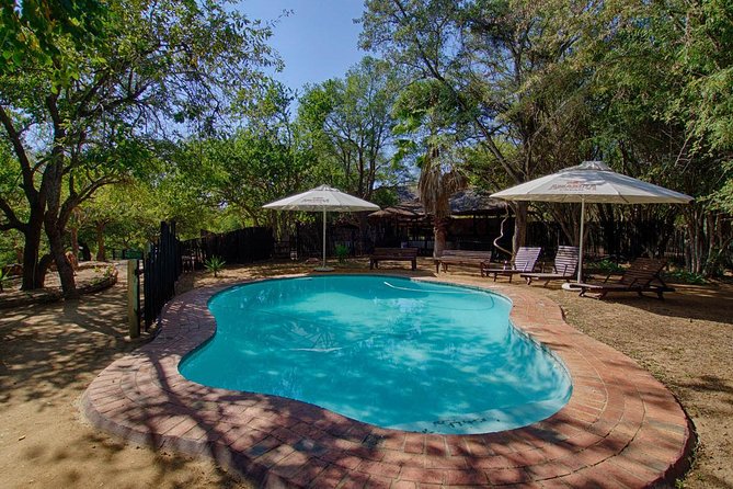 6 Day Lodge and Treehouse Kruger National Park Safari - Why this safari works for first-time visitors to Kruger