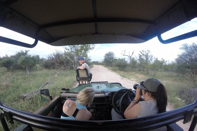 6 Day Lodge and Treehouse Kruger National Park Safari - Day 1: Sunset, spotlights, and dinner in the bush