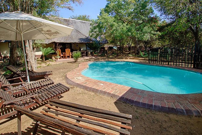 6 Day Lodge and Treehouse Kruger National Park Safari - Day 3: A full day inside Kruger National Park