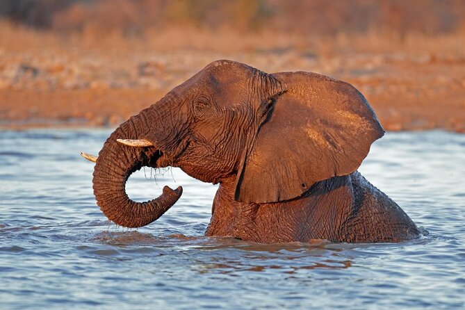 6 Day Sand, Sea & Etosha Budget Camping Safari - Key points to know before booking