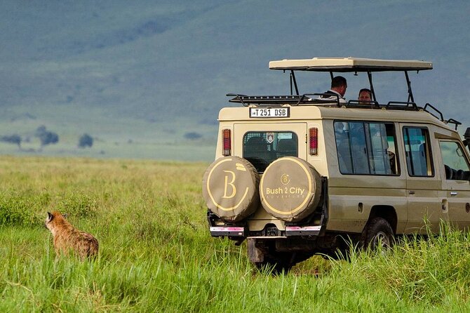 6-Day Tanzania Safari Experience – Midrange - Day 2: Elephants and baobabs in Tarangire