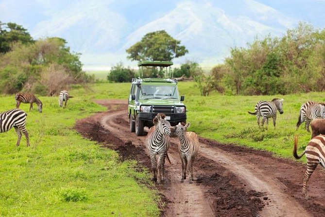 6 Day Tanzania Wildlife Mid range Safari - Day 5: Olduvai Gorge and the Ngorongoro highlands