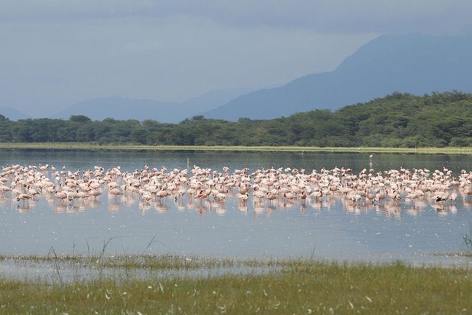 6 days 5 nights safari Ngorongoro, Serengeti and Tarangire National Parks - Food, guides, and the real comfort level