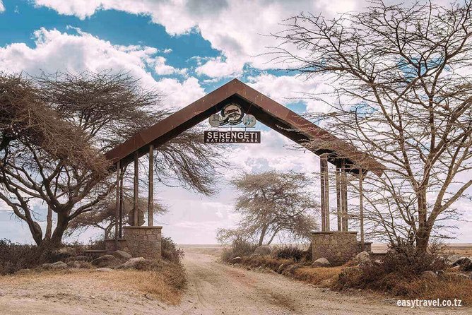 6 days 5 nights safari Ngorongoro, Serengeti and Tarangire National Parks - Day 1: Airport pickup and a quiet start in Arusha