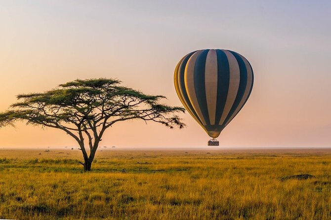 6 Days best adventure kilimanjaro ,Tarangire ,Serengeti &Ngorongoro crater - What this six-day route is trying to do