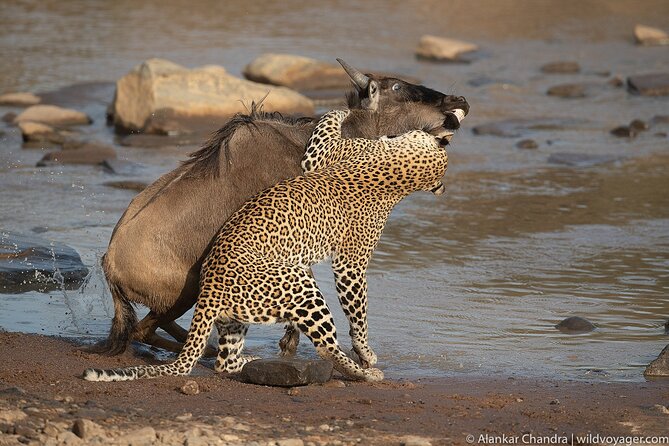 6 Days Kenya Adventure Wildlife Safari - Why this route works in six days