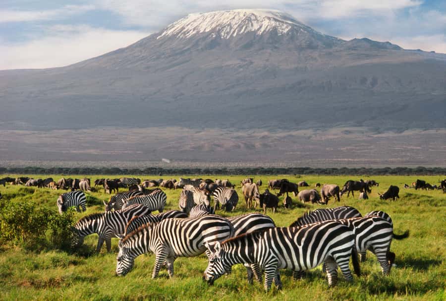 6 Days Kenya Budget Safari - Day 3: A long transfer from the Mara to Nakuru