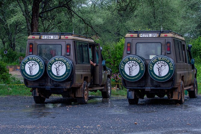 6 Days Luxury Northern Circuit Safari - A Glimpse of Tanzania Adventure - What this Northern Circuit safari gets right