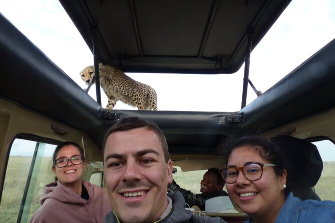 6 Days Private Budget Safari - Day 3: A full Serengeti day from sunrise to sunset