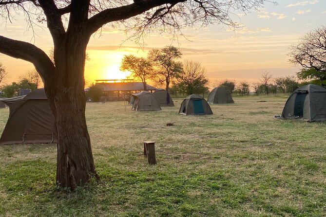 6 Days Private Budget Safari - Day 5: Down into Ngorongoro Crater