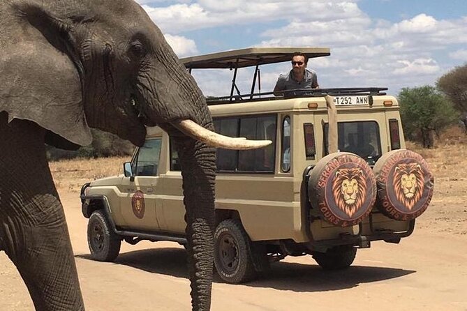 6 Days Private Budget Safari - Day 6: Flamingos and forest at Lake Manyara