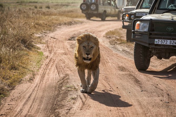 6 Days Private Budget Safari - Day 2: The long road to Serengeti