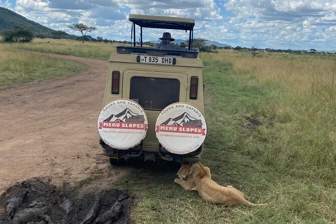6 Days Tanzania Budget Camping Safari with Migration - Why this six-day route works