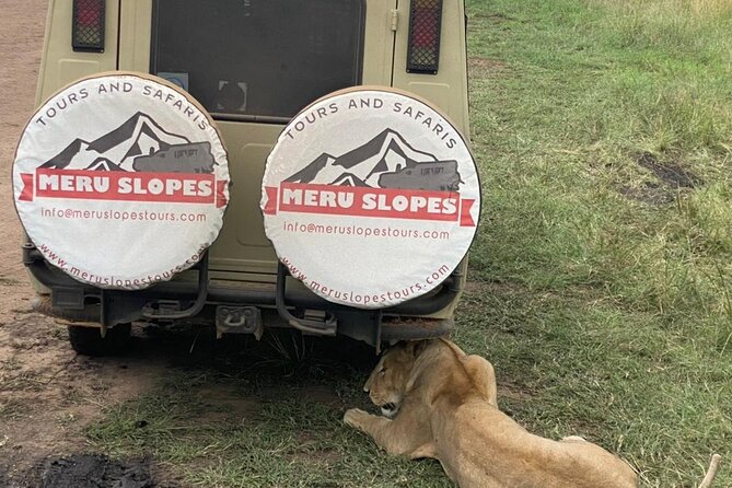 6 Days Tanzania Budget Camping Safari with Migration - Day 2: Rift Valley views and the first Serengeti sunset