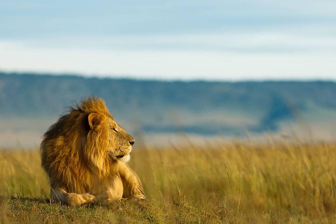 6 Days Tanzania Budget Camping Safari - Day 1: Tarangire’s elephants and baobab country