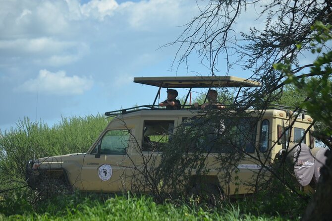 6 days Tanzania budget safari - What $2,500 buys you in six days