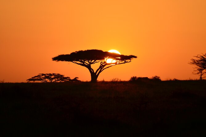 6 days Tanzania budget safari - Day 3: A full day away from Seronera