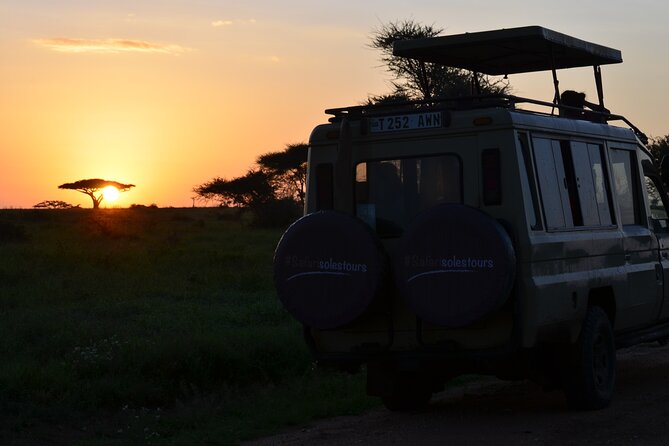 6 days Tanzania budget safari - Day 5: Descending into Ngorongoro Crater