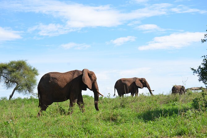 6 days Tanzania budget safari - Camping, food, and the people behind the trip