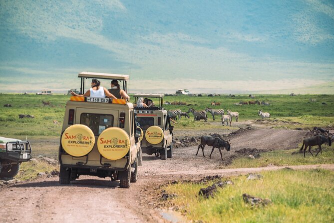 6-DayThe Best of Northern Tanzania Safari - Day 1: A soft landing in Arusha