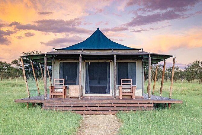6-DayThe Best of Northern Tanzania Safari - Day 5: The wildlife bowl of Ngorongoro Crater