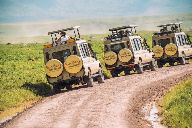 6-DayThe Best of Northern Tanzania Safari - Day 2: Tarangire’s elephants and baobabs
