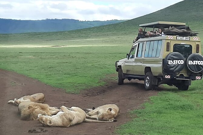 7-Day Great Migration Safari - Why this seven-day route works