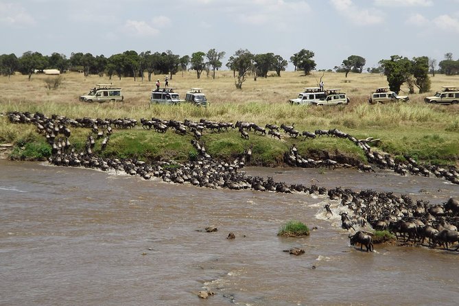 7-Day Great Migration Safari - Day 2: Lake Manyara below the Rift Valley