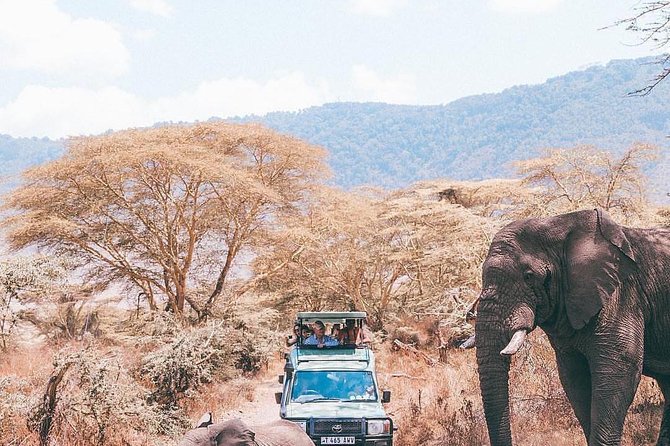 7 days great migration safari - Day 4: The Seronera Valley and Central Serengeti