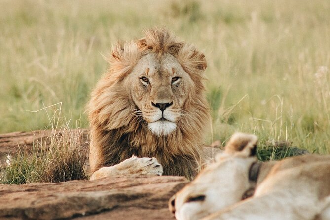 7 Days Tanzania Luxury Safaris - Day 3: The road into the Serengeti