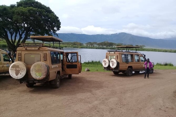 7 Days Tanzania Mid-range lodge safari - Day four: Olduvai Gorge and the Serengeti