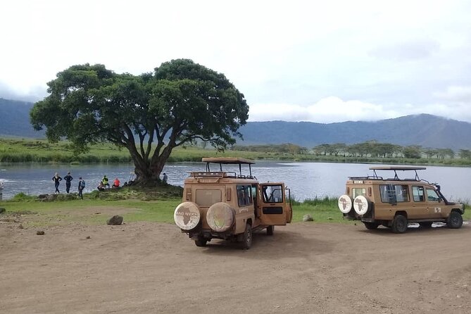 7 Days Tanzania Mid-range lodge safari - Day two: More wildlife or a walk above Manyara