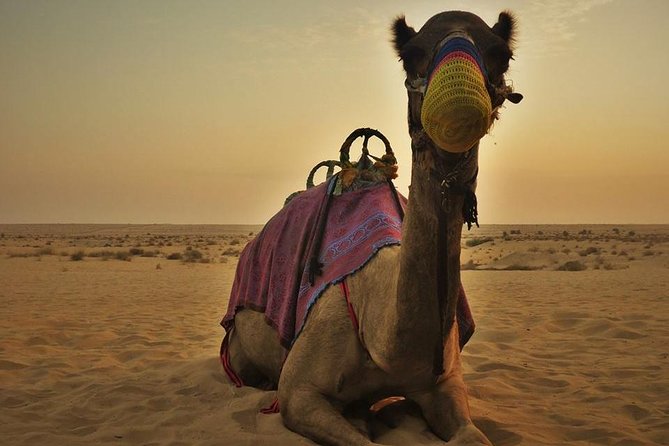 7-hour Small Group 4x4 Desert Safari Tour with Buffet Dinner in Dubai - Sandboarding and the short camel ride