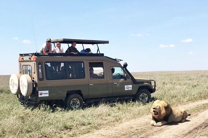 8 Day Spectacular Migration Serengeti mid -Range Tanzania Safari - Day 2: Elephants and dry-country wildlife in Tarangire