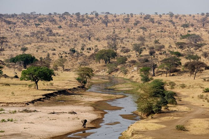 8 Days 7 Nights Tanzania Wildlife & Culture Lodge Safari - Day 3: Olduvai Gorge on the way to the Serengeti