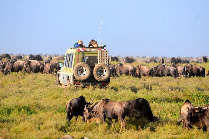 8 Days 7 Nights Tanzania Wildlife & Culture Lodge Safari - Day 7: Lake Eyasi and a quieter side of the circuit