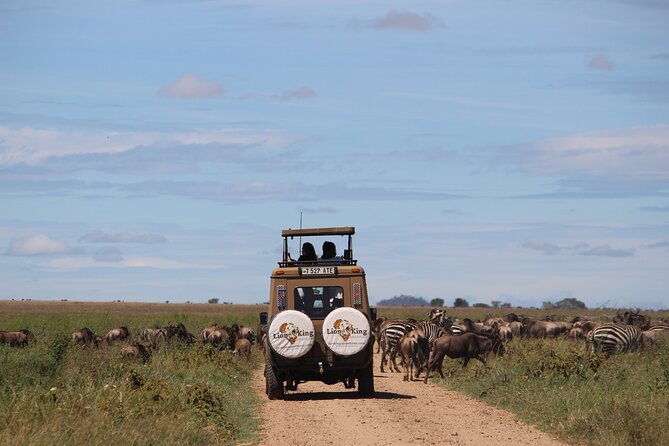 9-Day Serengeti Migration Footsteps Tanzania Safari - Days 4 and 5: Searching for a Mara River crossing