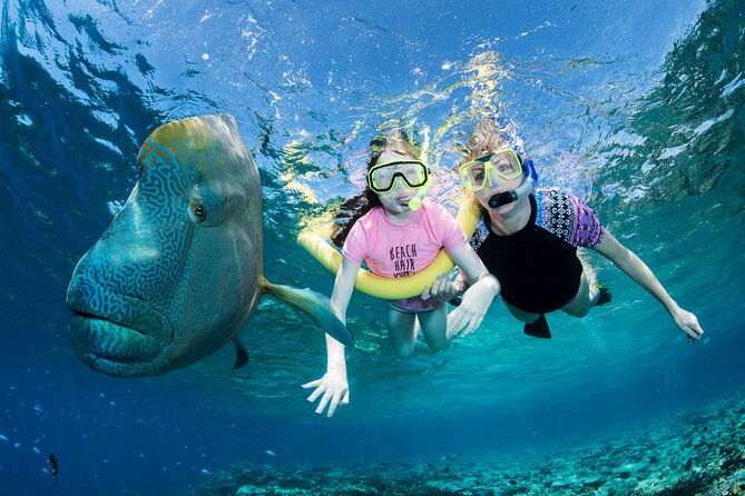 ABC Reef Safaris - The reef briefing before you enter the water