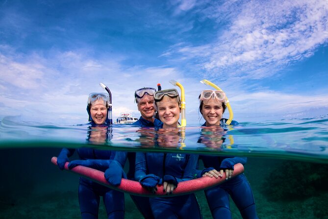 ABC Reef Safaris - What you may see beneath the surface