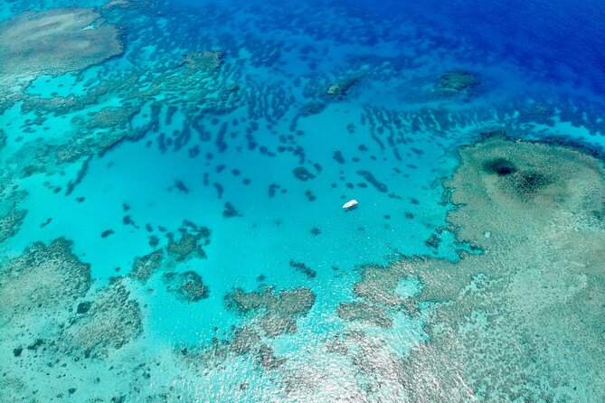 ABC Reef Safaris - Who will get the most from this safari?