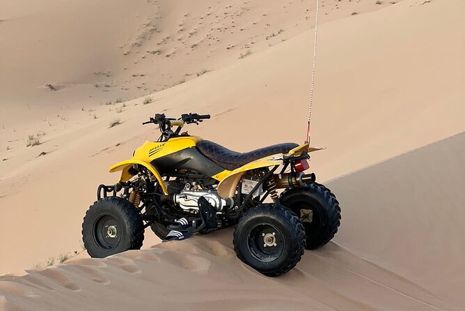 Abu Dhabi: 4-Hour Morning Safari with Camel Ride & Sand boarding - A quick desert morning from Abu Dhabi