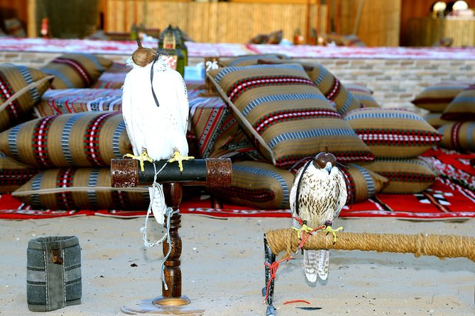 Abu Dhabi Afternoon Desert Safari and BBQ Dinner - The Al Khatim dune drive