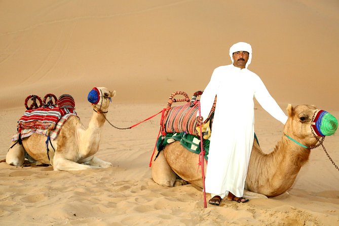 Abu Dhabi Afternoon Desert Safari and BBQ Dinner - The highest dune and sunset pause
